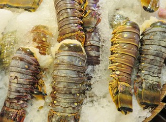 Fresh lobster tails on ice at an outdoor fish market