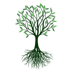 Spring Tree and roots. Vector Illustration.