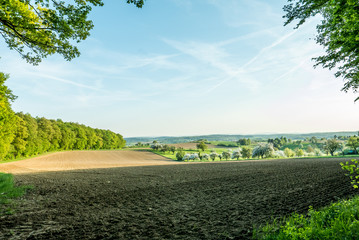 Blühende Obstbäume im Frühjahr