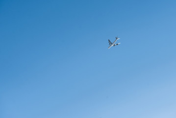 plane in the sky and palm trees
