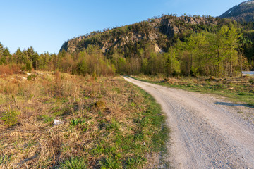 Fototapeta na wymiar Schotterweg im Wald