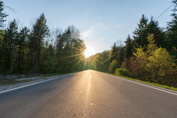 Tiefstehende Abendsonne über Landstraße