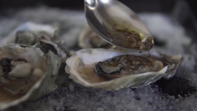 Slow motion closeup fresh open oyster with sause