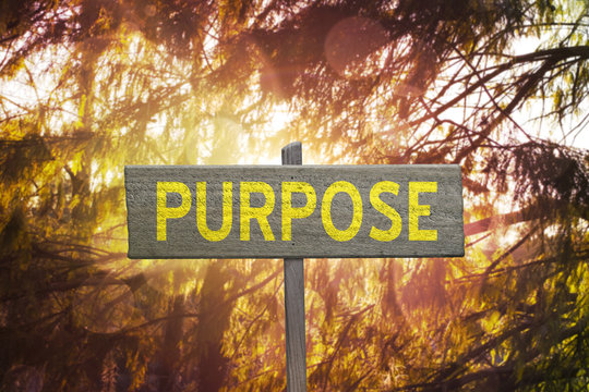 Inspirational Purpose sign on nature background