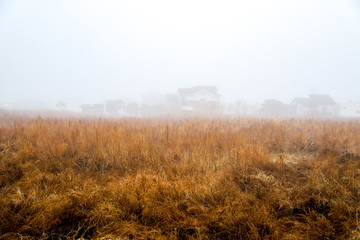 a foggy landscape