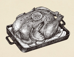 Hand drawn of chicken grilled