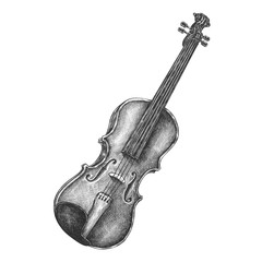 Hand drawn violin isolated on background © Rawpixel.com