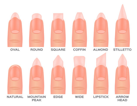 Set kinds of nails. nail shapes and type