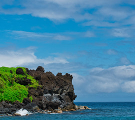 Hawaiian Coast