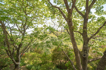 公園