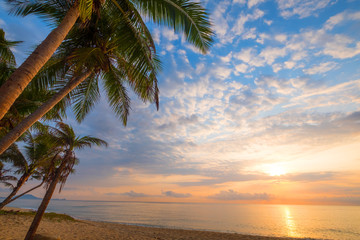 Obraz na płótnie Canvas Seascape of beautiful tropical beach with palm tree at sunrise. sea view beach in summer background.