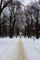 Long telephoto view of man walking along snowy road in a park in Warsaw, Poland, trees without leaves all around