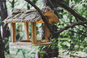 Wooden bird feeder on branch