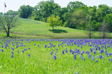 Countryside view of Bluebonnet Trails in North Texas