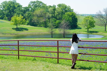 Woman standing along fence viewing Bluebonnet wildflowers in North Texas