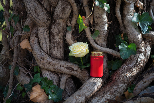 Kerze und Rose an einem Baum