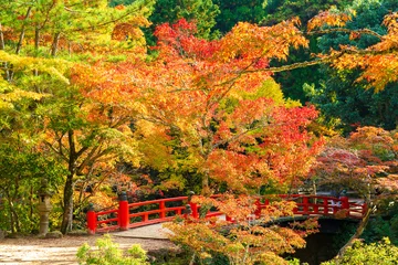 Crédence de cuisine en verre imprimé Automne Autumn in Miyajima, Momiji valley park