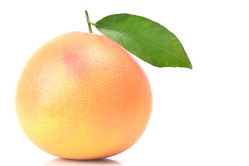 Grapefruit