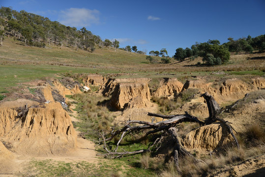 Erosion gully in farmland