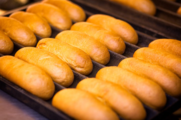 Close-up of fresh delicious buns with sausages lie in straight rows on a tray