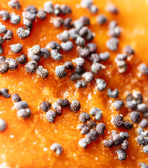 Poppy seeds in a bun as a background