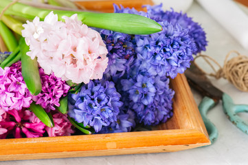 Bouquet of different colors hyacinth flowers on a wooden board. Flower shop concept.