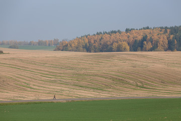 Obraz premium autumn landscape
