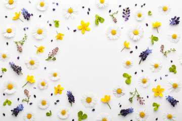 Floral frame made of colorful spring flowers and green leaves on white background. Flat lay, top view.