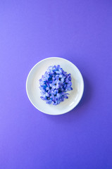 Group of violet petals of hyacinth flower in a white plate on a violet background. Top view and copy space.