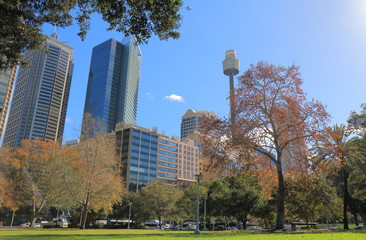Hyde park cityscape in Sydney Australia
