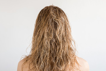 Wet, blonde, messy woman's hair after shower on the gray background. Care about beautiful, healthy...