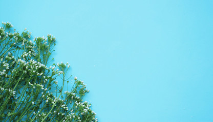 stock-photo-fields-of-flowers-spring-or-summer-background