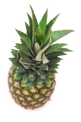 Fototapeta premium Ananas