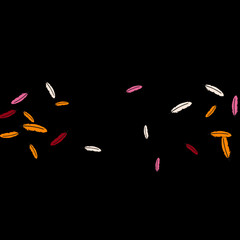 Colorful feathers. Prints of Colored feathers Design for Goods for Pets. Simple Pattern for Print, Logo or Poster. Vector Confetti Background.

