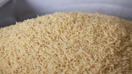 Raw macaroni from a conveyor belt at the pasta manufactury