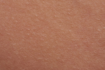 Brown human skin texture background