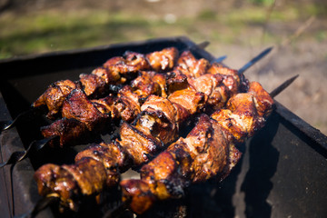 Meat with spicy sauce on skewers fried on an open fire