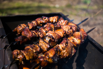 Meat with spicy sauce on skewers fried on an open fire