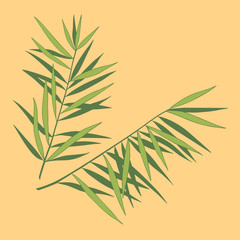 Obraz premium cartoon set of palm leaves