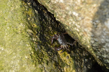 scogli natura  e paesaggi 