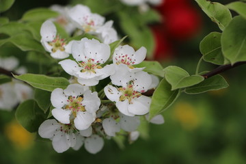 So many-coloured life