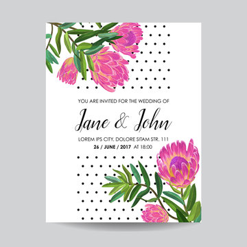 Wedding Invitation Template with Pink Protea Flowers. Save the Date Floral Card for Greetings, Anniversary, Birthday, Baby Shower Party. Botanical Design. Vector illustration