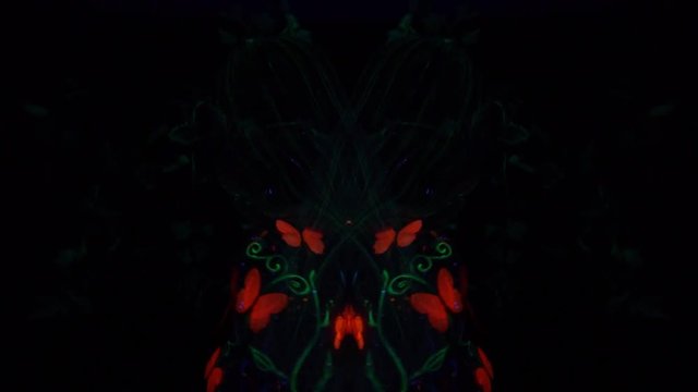 Montage video of a girl in fluorescent in the form of butterflies and grass