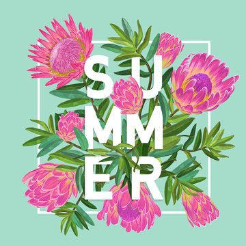 Hello Summer Tropical Design. Floral Vintage Background with Pink Protea Flowers for Prints, Posters, T-shirt. Vector illustration