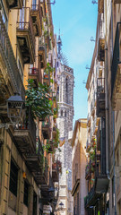 Obraz premium Barcelona Cathedral framed by apartments on a street in Barcelona