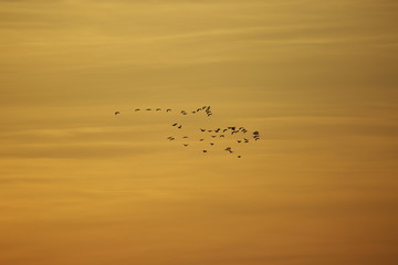 Am Abendhimmel