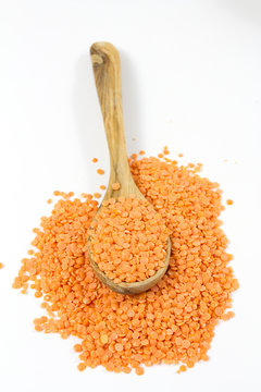 lentilles corail