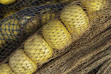 fishing net and float