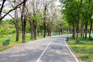 bike lanes in park 