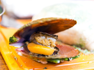 A Boiled wing shell fresh and yummy